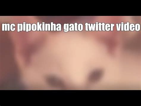 mc pipokinha com o gato|No vídeo, MC Pipokinha tem os seios lambidos por um gato